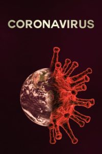 Coronavirus Como Comenzo Todo