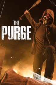 The Purge / La noche de la expiación