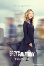 Grey’s anatomy / Anatomía de Grey