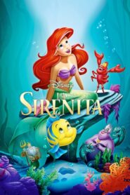 La Sirenita / The little mermaid