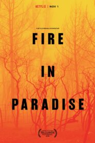 Fire in Paradise / Paradise en llamas