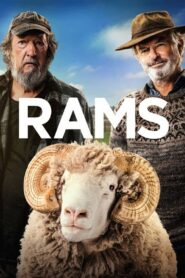 Rams: La historia de dos hermanos y ocho ovejas